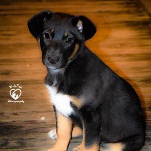 Meet your Posher, Debra